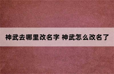 神武去哪里改名字 神武怎么改名了